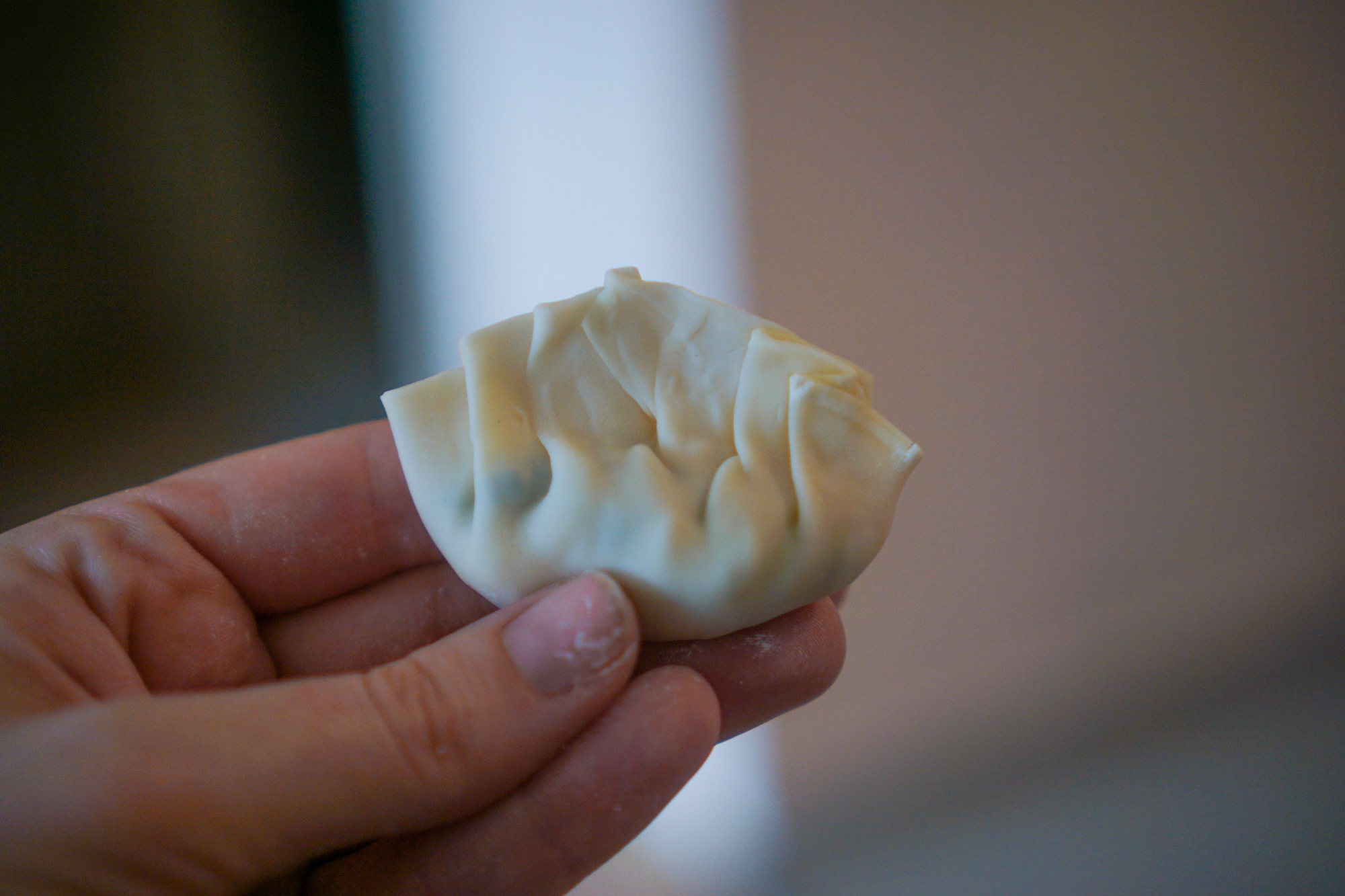 My Favorite Egg and Scallion Vegetarian Dumplings