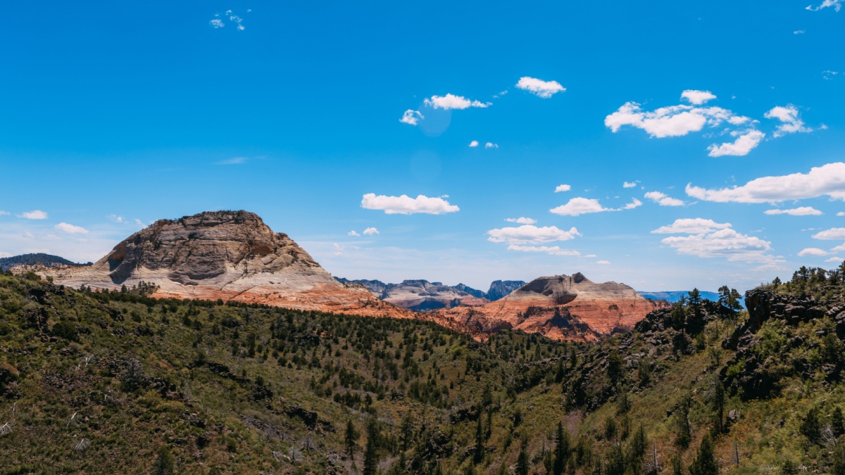 15 Incredibly Awesome Things to See and Do in Zion National Park