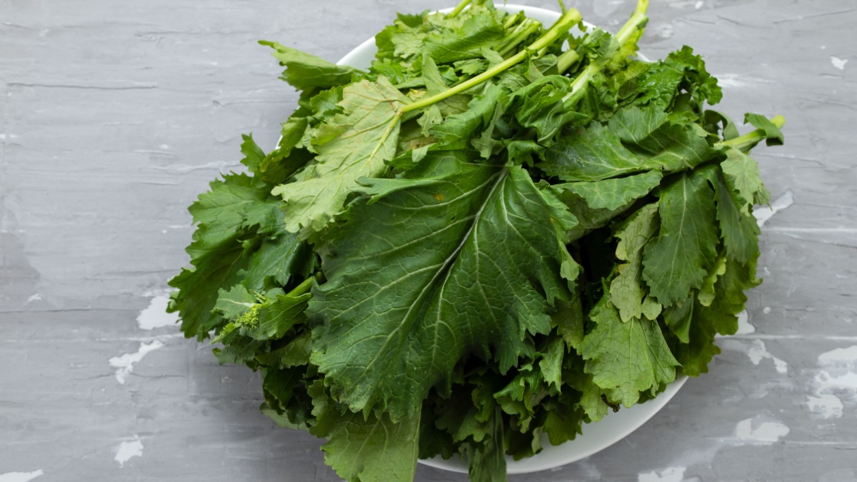 turnip greens on white dish on ceramic background.