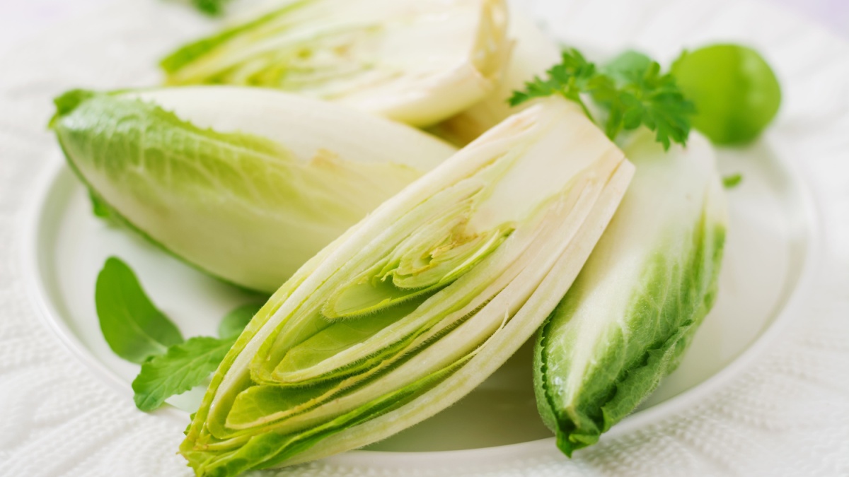 Fresh and healthy Chicory (witloof) Salad on a plate. Dietary menu. Healthy food.