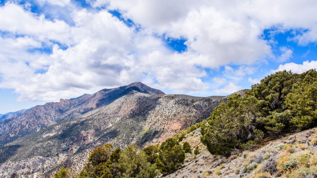View towards Telescope Peak from the hiking trail, Panamint mountain range, Death Valley National Park, California.