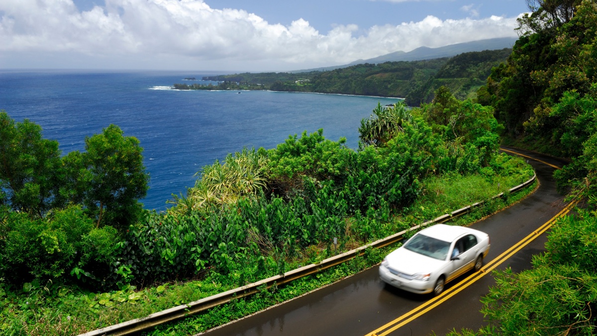 The road to Hana in Maui at Kaumahina State Wayside Park Hawaii.