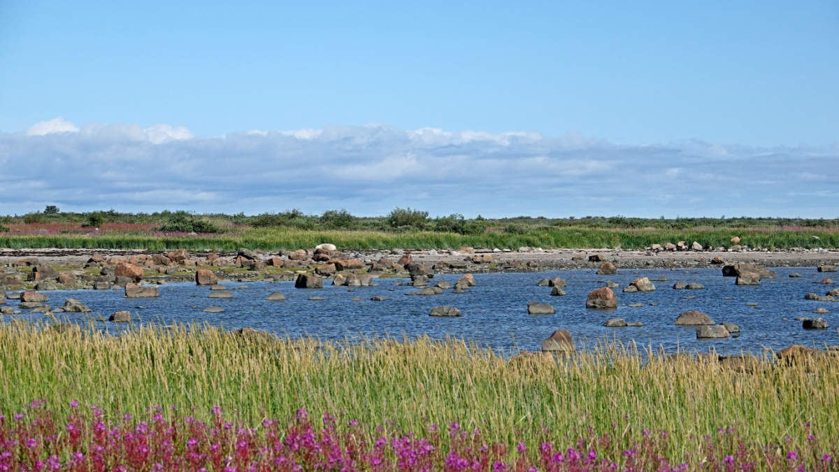 Summer scene of Churchill, Canada.