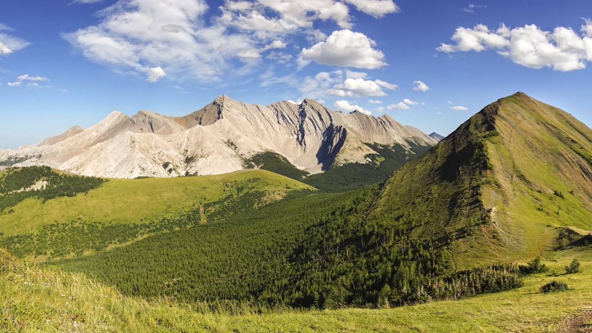 Green Meadow Grass Alpine Valley Natural Parkland and Scenic Panoramic Landscape Hiking Mist Ridge in Kananaskis Country, Alberta Foothills of Canadian Rocky Mountains on a Bright Summertime Day.