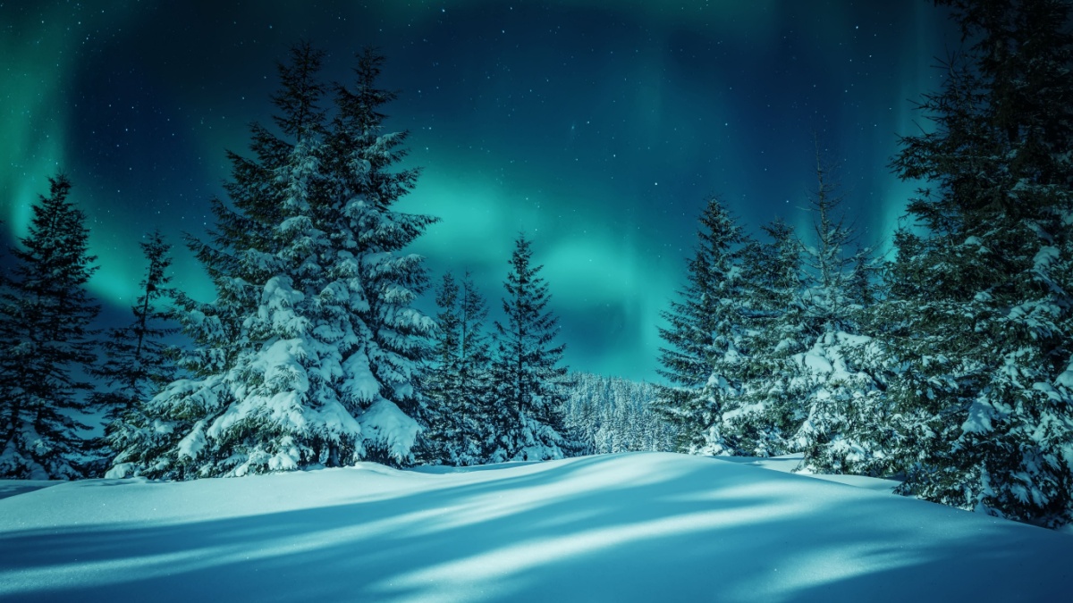 Aurora borealis over the frosty forest. Green northern lights above mountains. Night nature landscape with polar lights. Night winter landscape with aurora. Creative image. winter holiday concept.