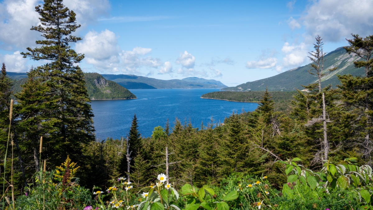 Gros Morne National Park, a Canadian national park and World Heritage Site in Newfoundland. Fjord Inner Bonne Bay East Arm and Gros Morne Mountain.