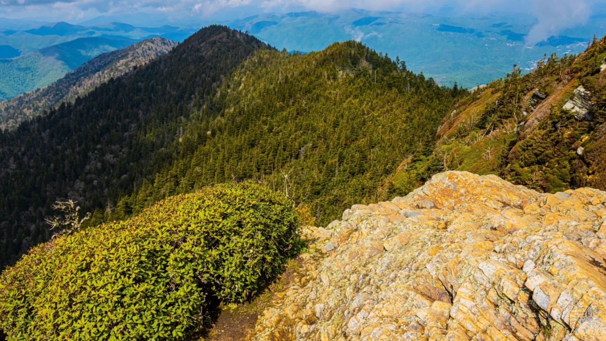View From Cliff Top Viewpoint on Mt. LeConte, Great Smoky Mountains National Park, Tennessee, USA.