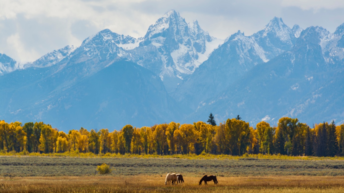 Autumn Majesty: The Teton Range in Fall Splendor.