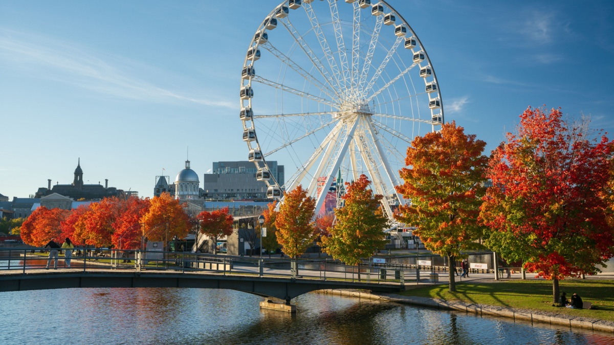 Montreal, Quebec, Canada - October 11 2022 : Old Port of Montreal in fall foliage season. Red maples reflection on the St. Lawrence River. La Grande roue de Montreal Ferris wheel.