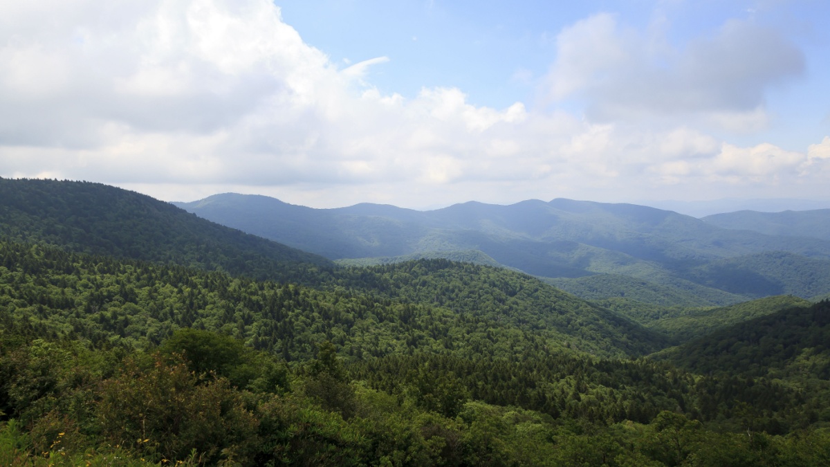 North Carolina Mountains in the Summertime.