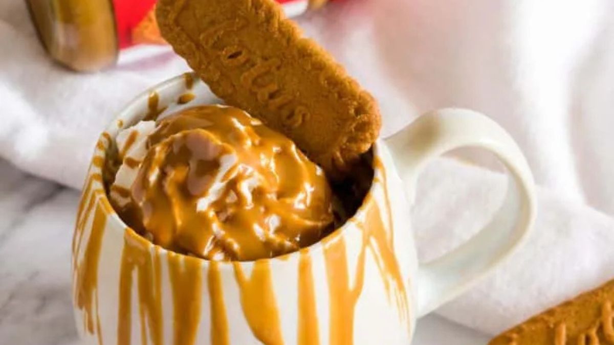 Biscoff Mug Cake (No Egg).