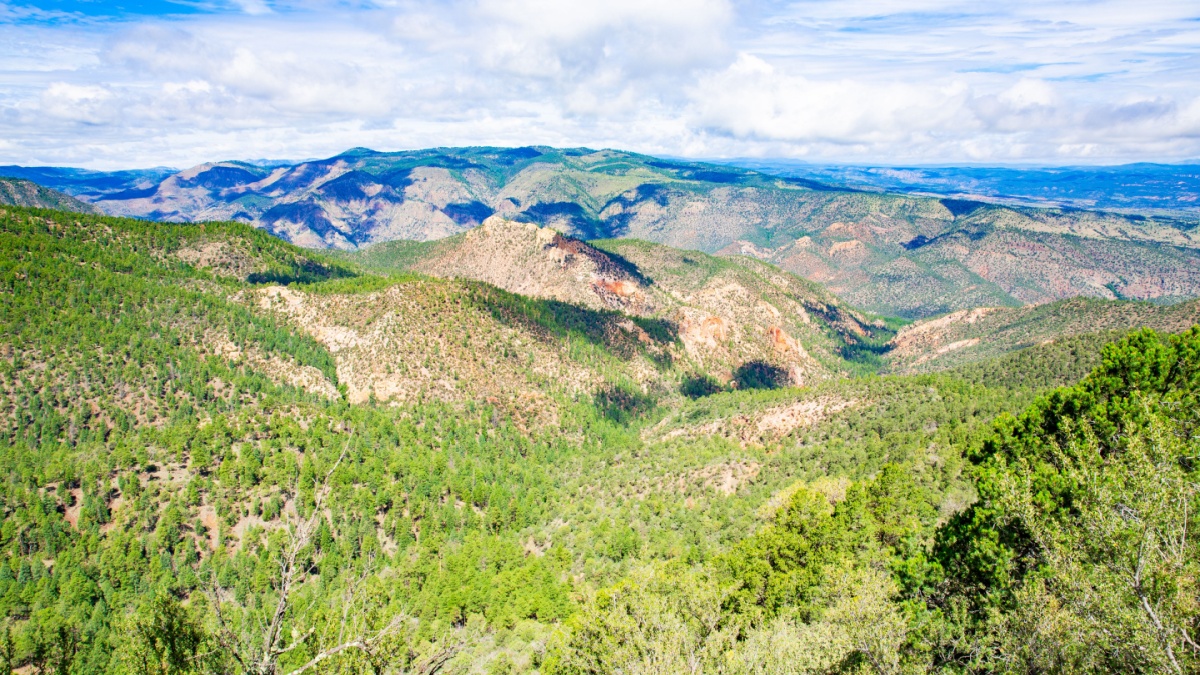 Gila National Forest in New Mexico, USA.