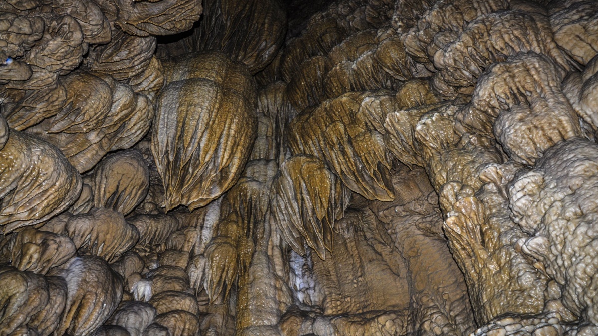 Formations on a cave walls at the Oregon National Caves Monumant.