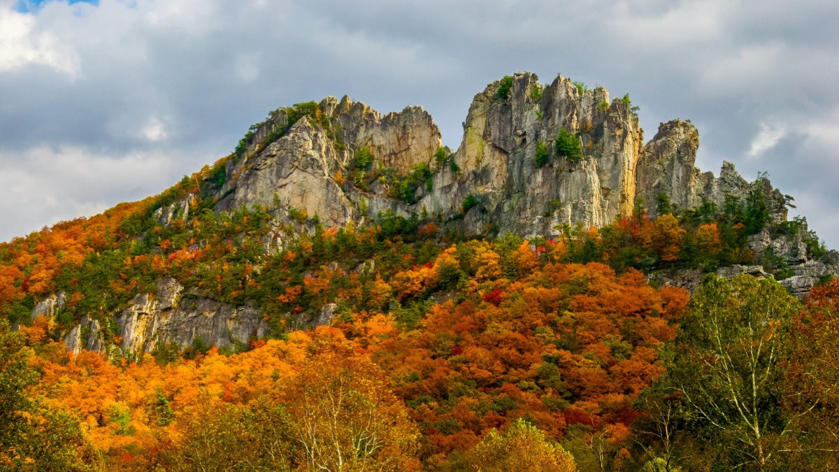 This is the upper area of Seneca Rocks National Recreational Area in the Monongahela National Forest in West Virginia. Beautiful orange Autumn colors surround the rocks of this famous climbing area.