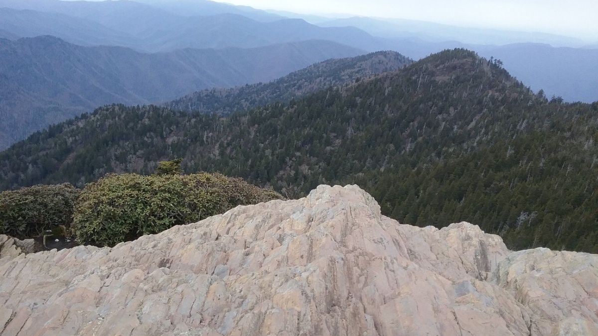 April day on Mt LeConte, Tennessee.