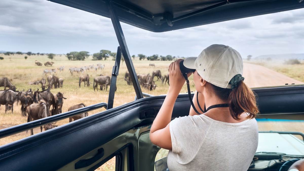 Woman tourist on safari in Africa, traveling by car with an open roof of Kenya and Tanzania, watching zebras and antelopes in the savannah.
National park Serengeti.
