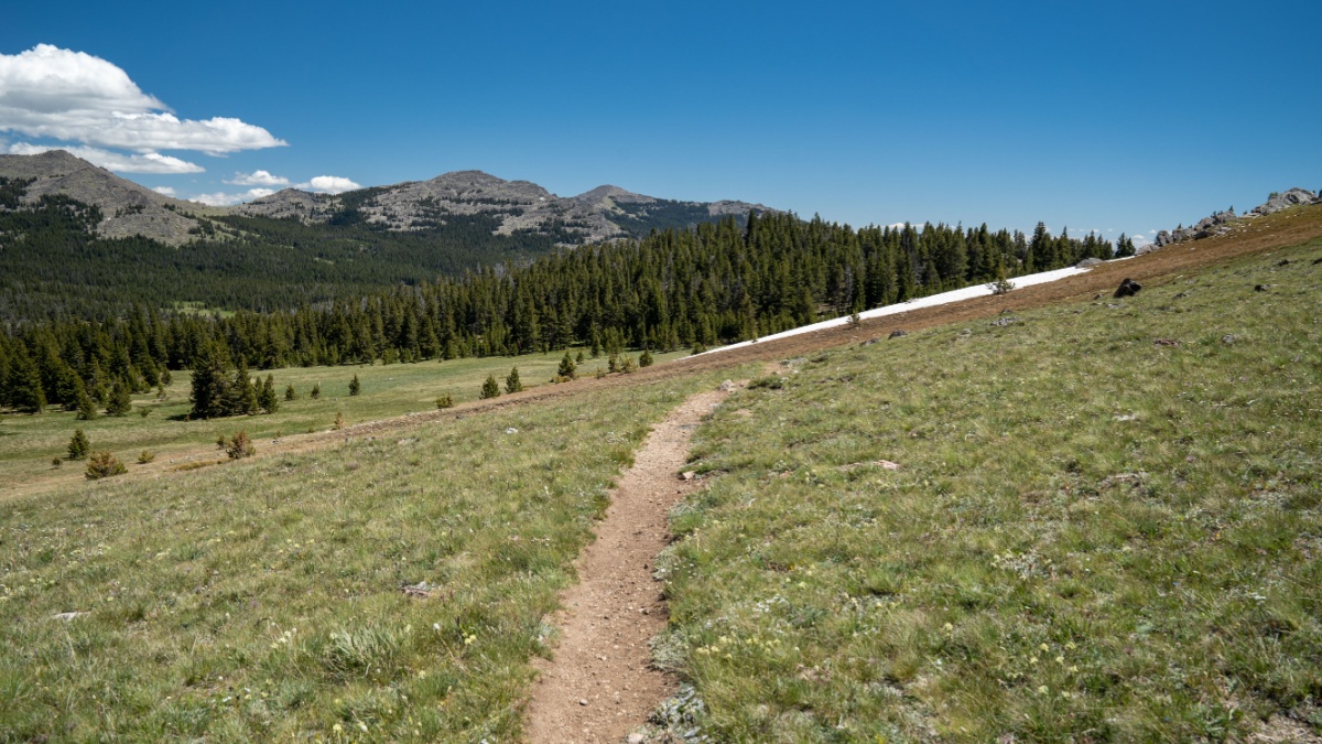 Hiking trail through Powder River Pass in the Bighorn Mountains of Wyoming in summer.