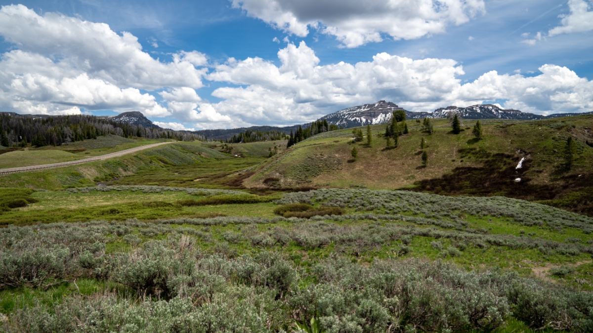 View of the Shoshone National Forest and the Wind River Mountains - Breccia Cliffs, in Wyoming at Togwotee Pass.