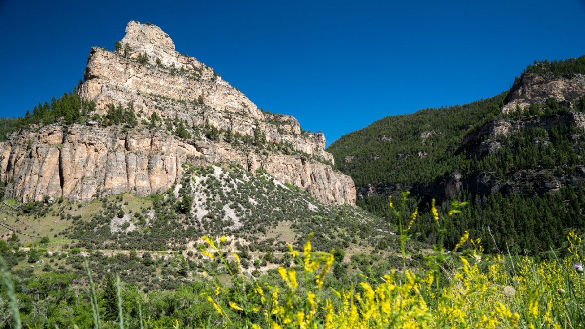 The colorful and lush Tensleep Canyon along the Cloud Peak Skyway (US Highway 16) in the Wyoming Bighorn National Forest in summer