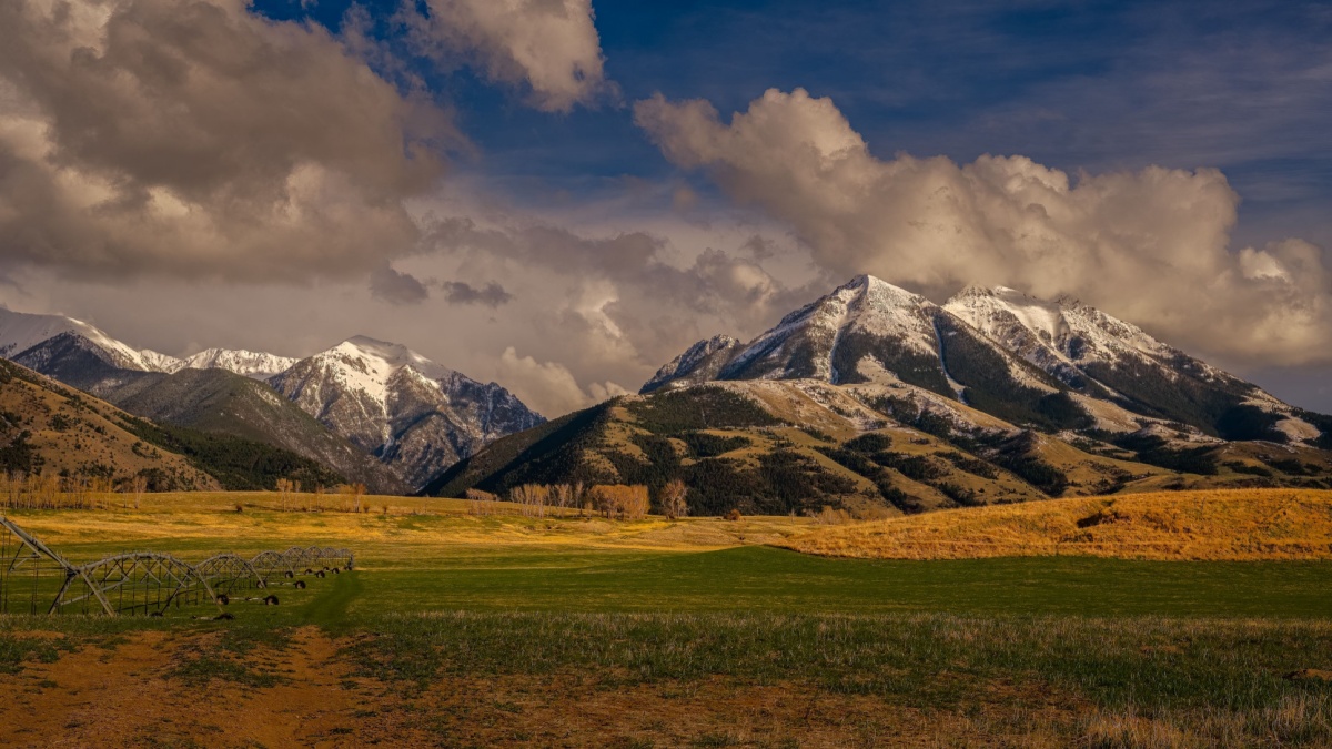 ABSAROKA RANGE WITH SNOW ON TOPAND A FIELD OF ALFALFA WITH A BLUE SKY AND STORM CLOUDS.