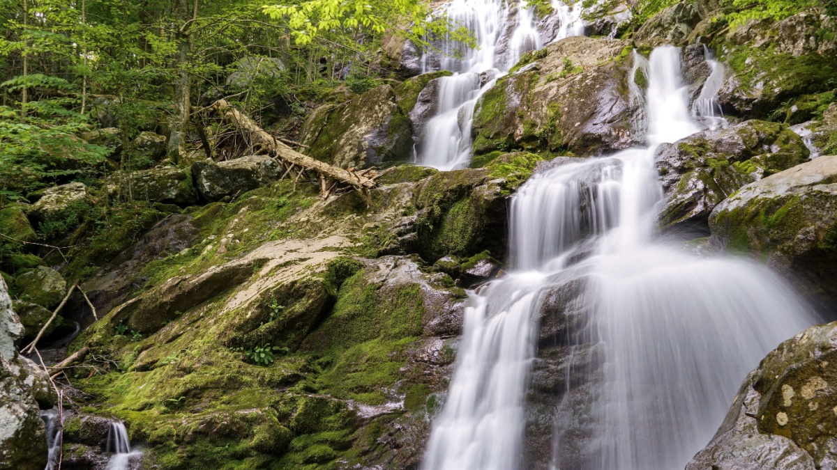 Dark Hollow Falls is a popular destination in Shenandoah National Park, Virginia, USA.