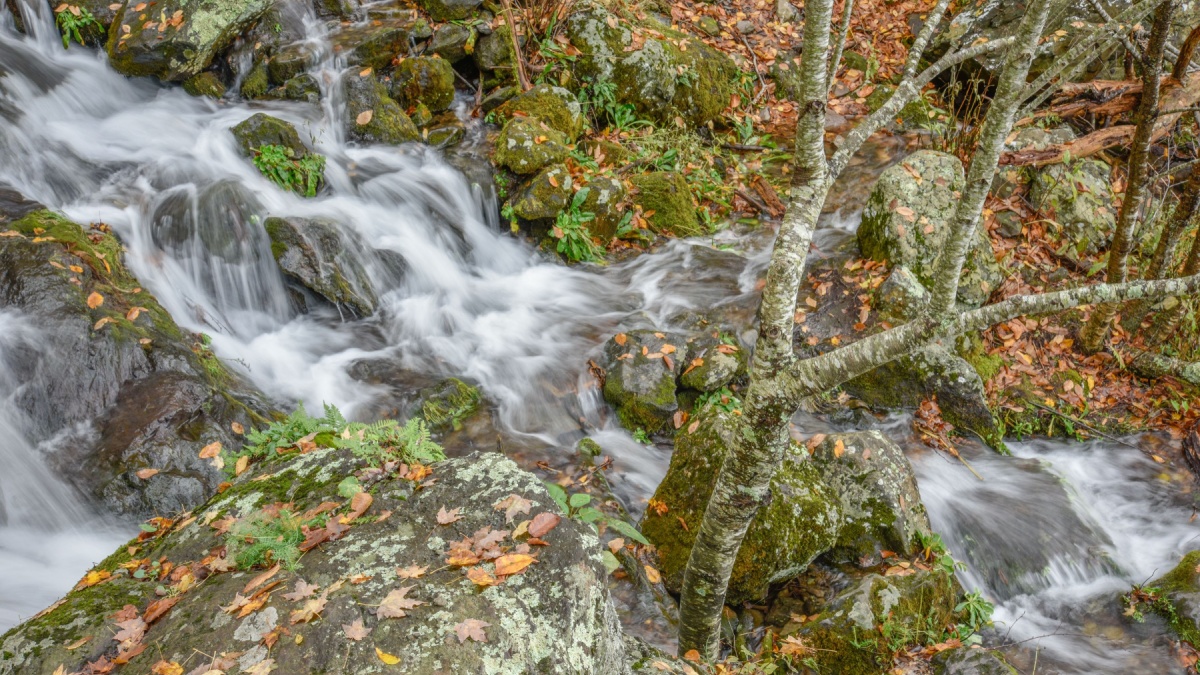 Crest of Lewis Spring Falls, Shenandoah National Park, Virginia.