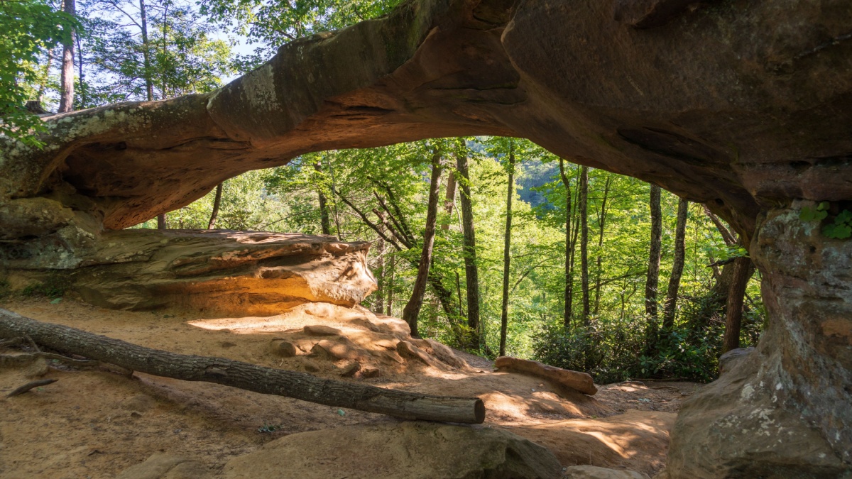 Red River Gorge Geological Area in Kentucky.
