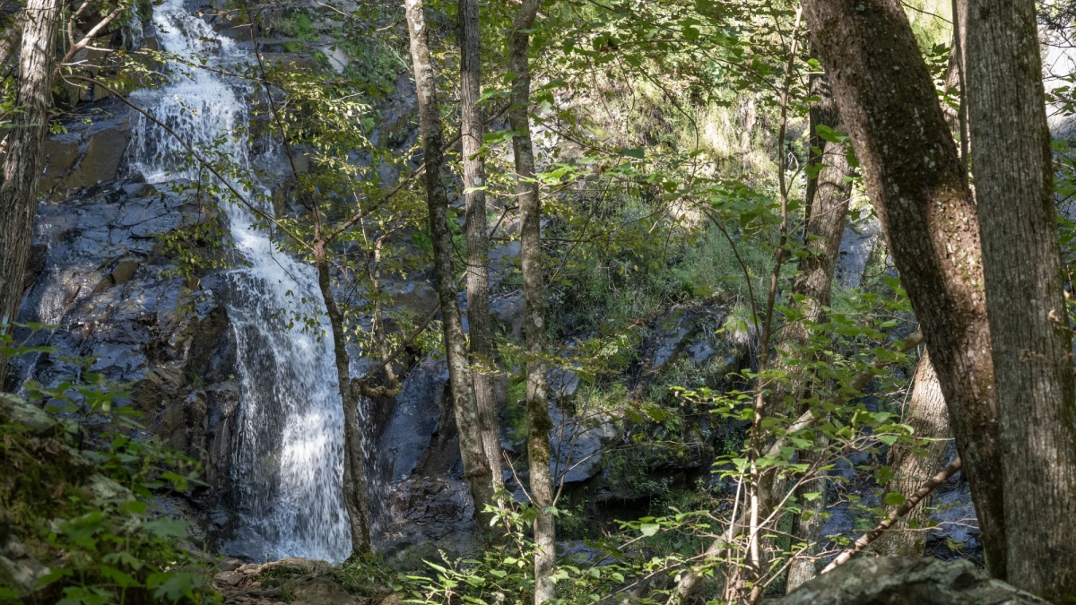 Jones Run Falls At the Top Of An Uphill Trail.