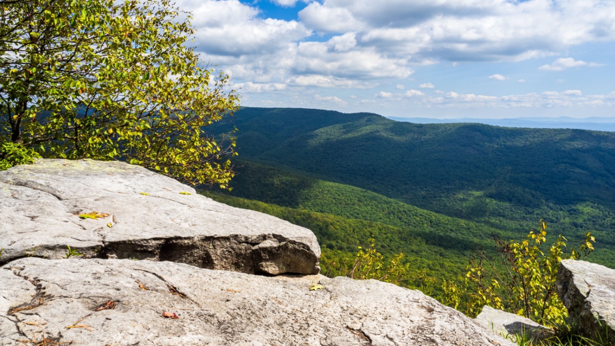 The beautiful wilderness with wooded mountains with rocks in the foreground as seen from Big Schloss via Wolf Gap Trail on the border between West Virginia and Virginia.