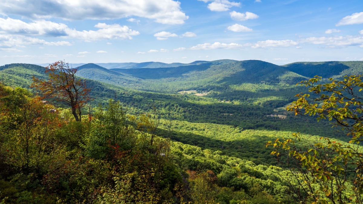 The beautiful wilderness with mountains and fall colored tree as seen from Big Schloss via Wolf Gap Trail on the border between West Virginia and Virginia. as seen from Big Schloss.