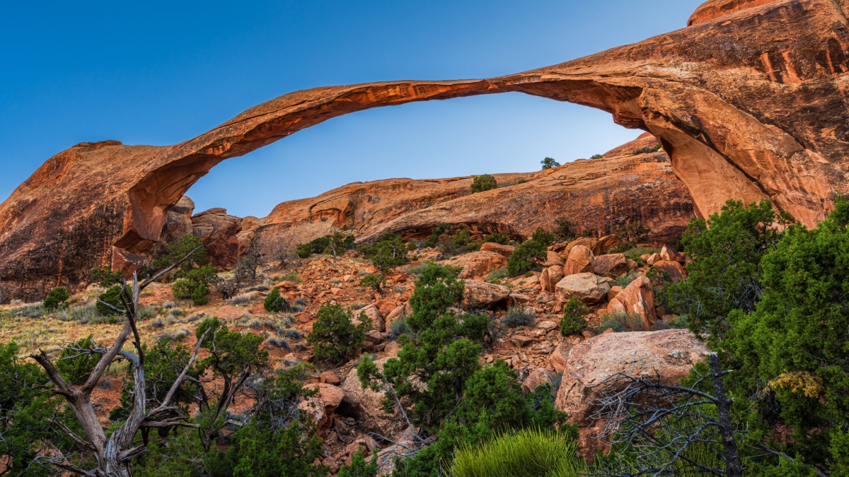 The Landscape Arch in Arches National Park near Moab, Utah in blue hour.