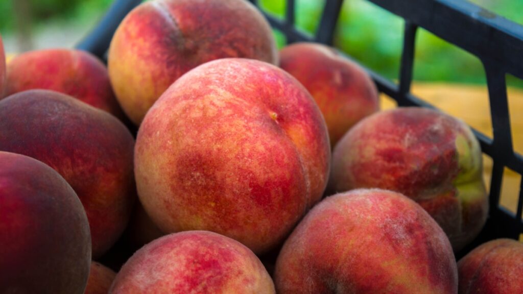 15 Foods That Shouldn’t Be Refrigerated