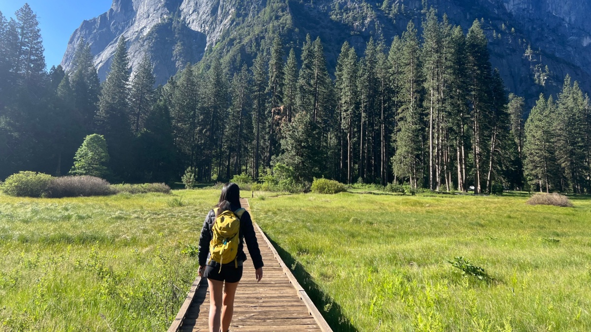 Yosemite National Park Boardwalk Hike Travel Beautiful Mountains Wandering.