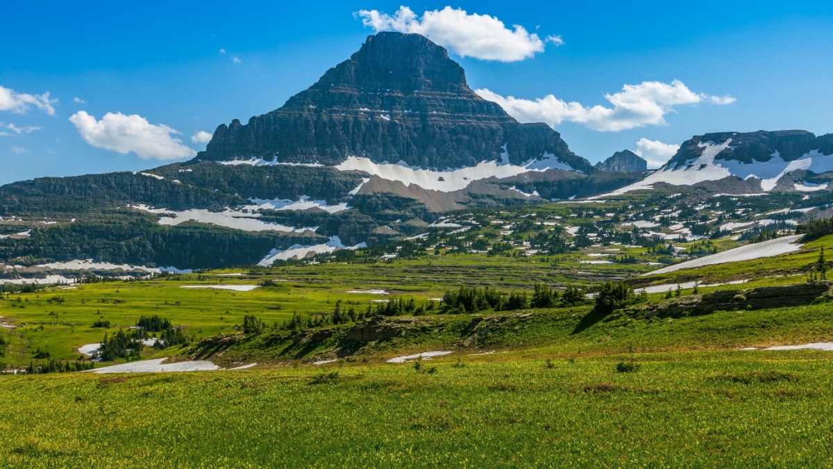 Gorgeous Views of Reynolds Mountain from Logan Pass Meadow, Glacier National Park, Montana.