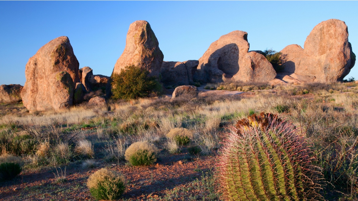City of Rocks State Park, New Mexico.