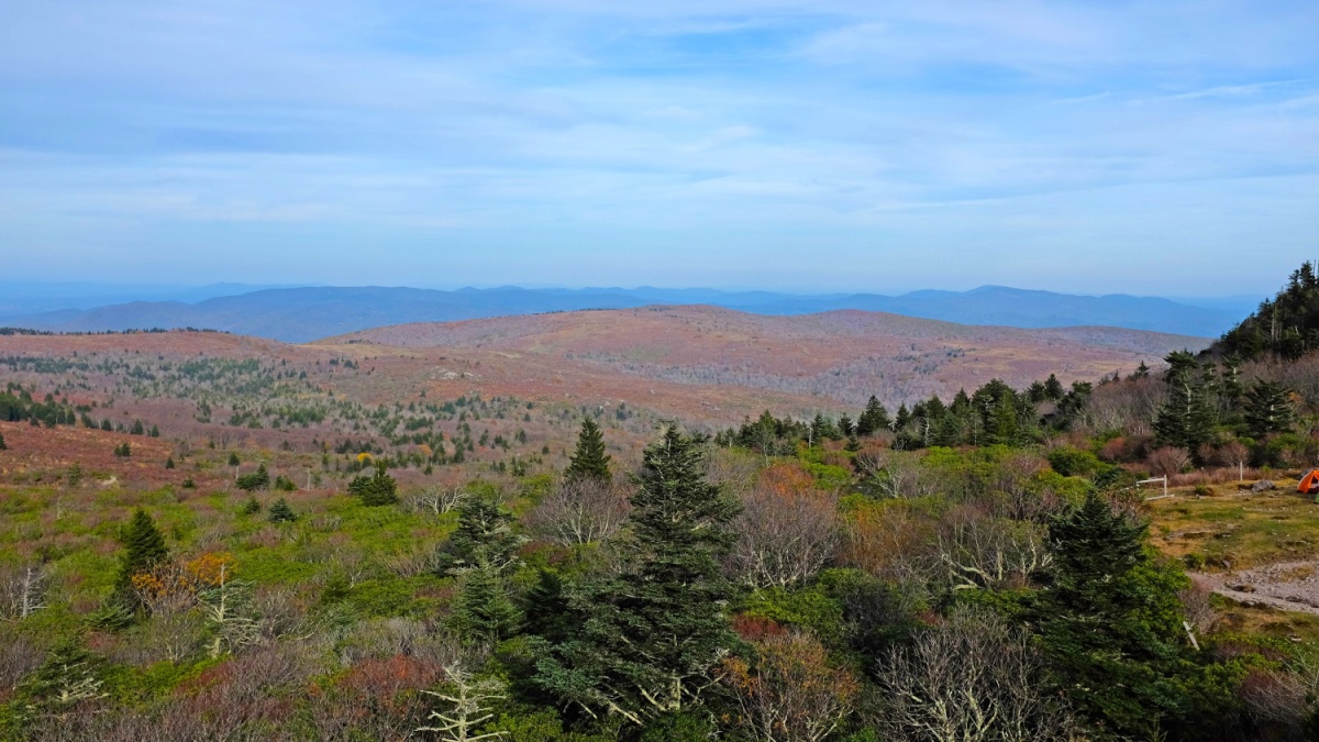 Mount Rogers, highest point of Virginia during autumn with fall colors, near Virginia Tech, Blacksburg, USA. Mount Rogers is a beautiful state park and it is part of the historic Appalachian Trail.