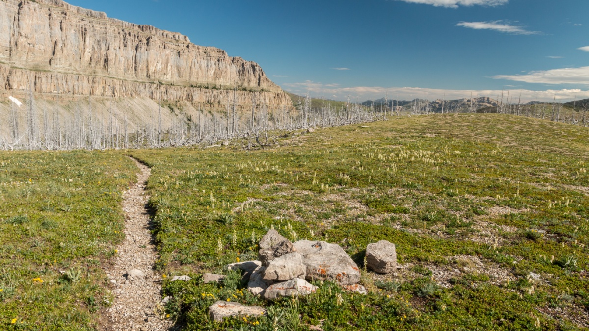 Cairn marking the trail by Scapegoat Mountain in the Scapegoat Wilderness, Montana.