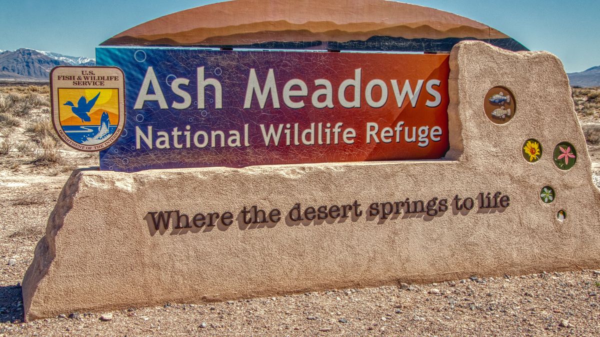 Ash Meadows National Wildlife Refuge,Nevada USA 3-17-19.