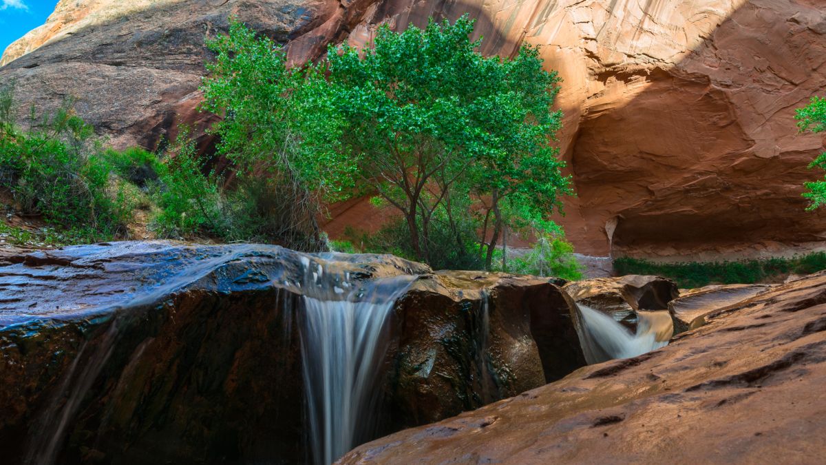 Beautiful Cascade in Coyote Gulch Grand Staircase Escalante National Monument Utah.