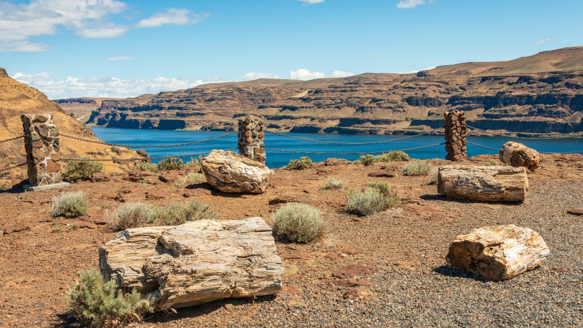 Ginkgo Petrified Forest State Park in Washington State, USA.