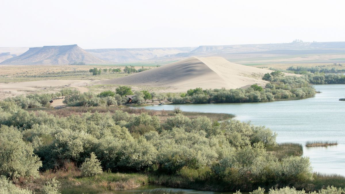 Idaho Bruneau Dunes State Park.