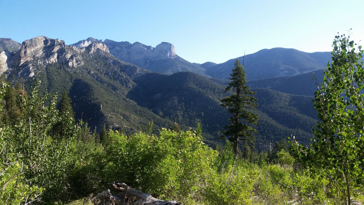 Mt Charleston Nevada.