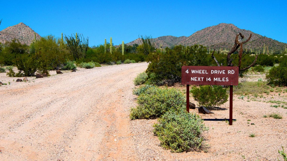 Organ Pipe Cactus National Monument, Puerto Blanco Drive to Quitobaquito Spring.