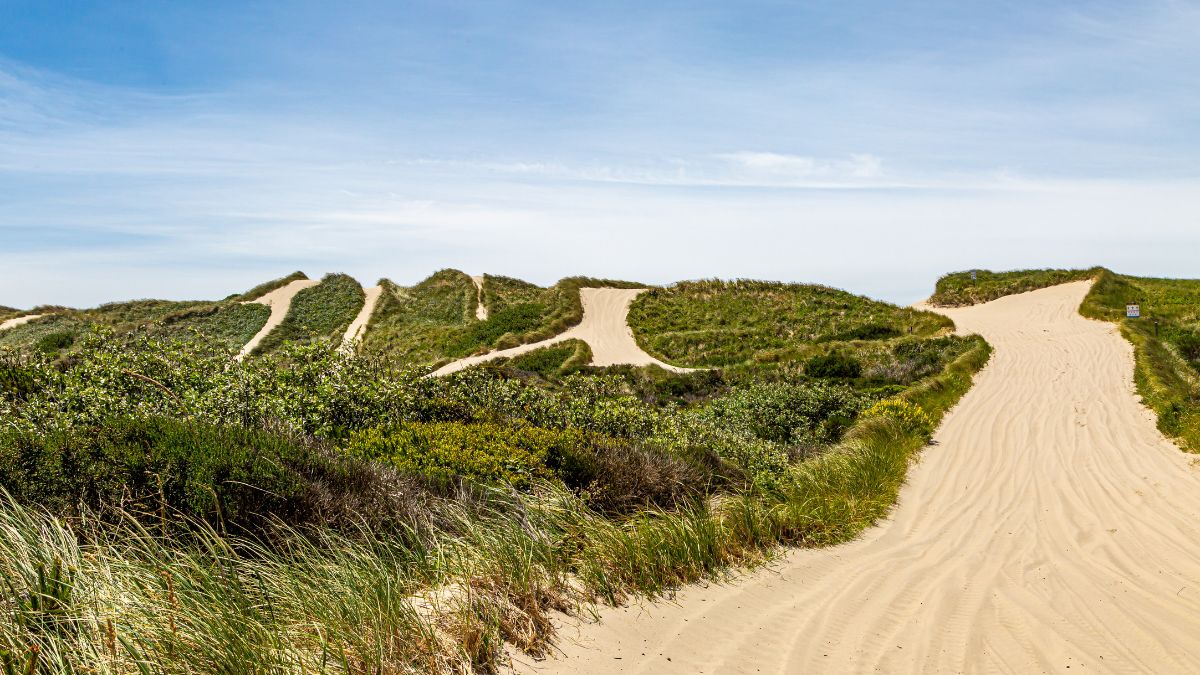 Pathways through sand dunes at Oregon Dunes National Recreation Area, on a summers day.