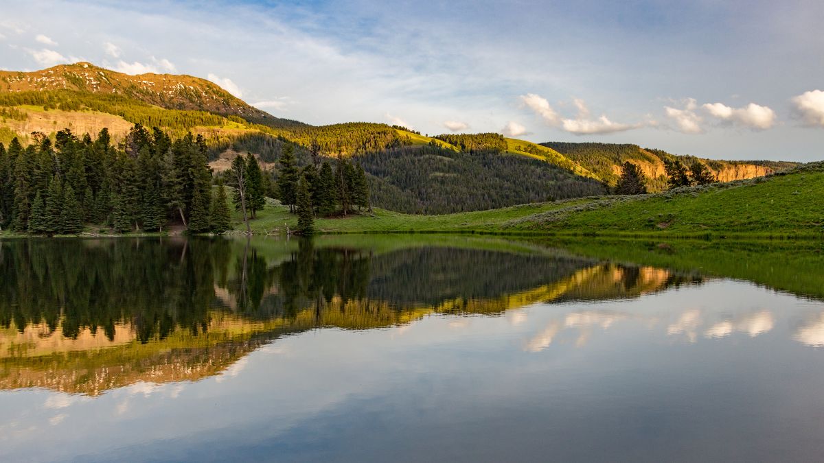 Reflections on Trout Lake at Yellowstone National Park.