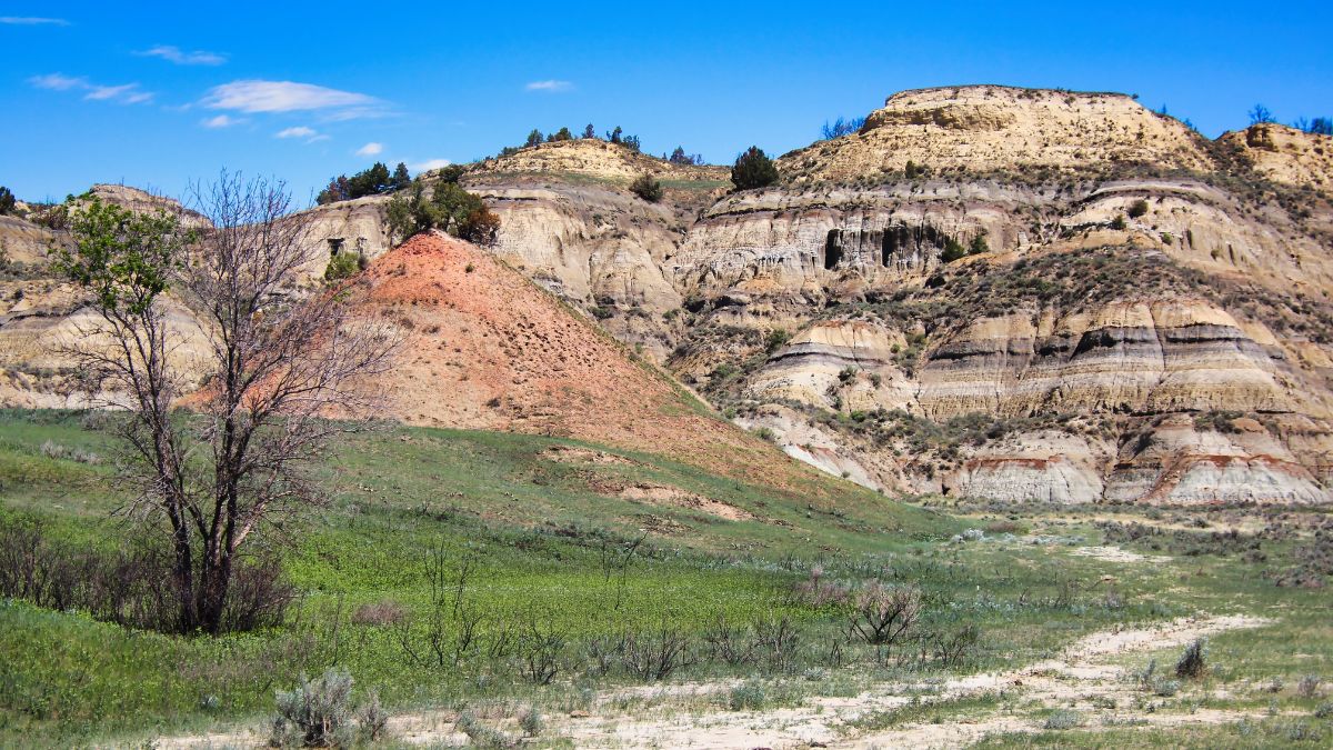 Summer in the Badlands of Theodore Roosevelt National Park, North Dakota.