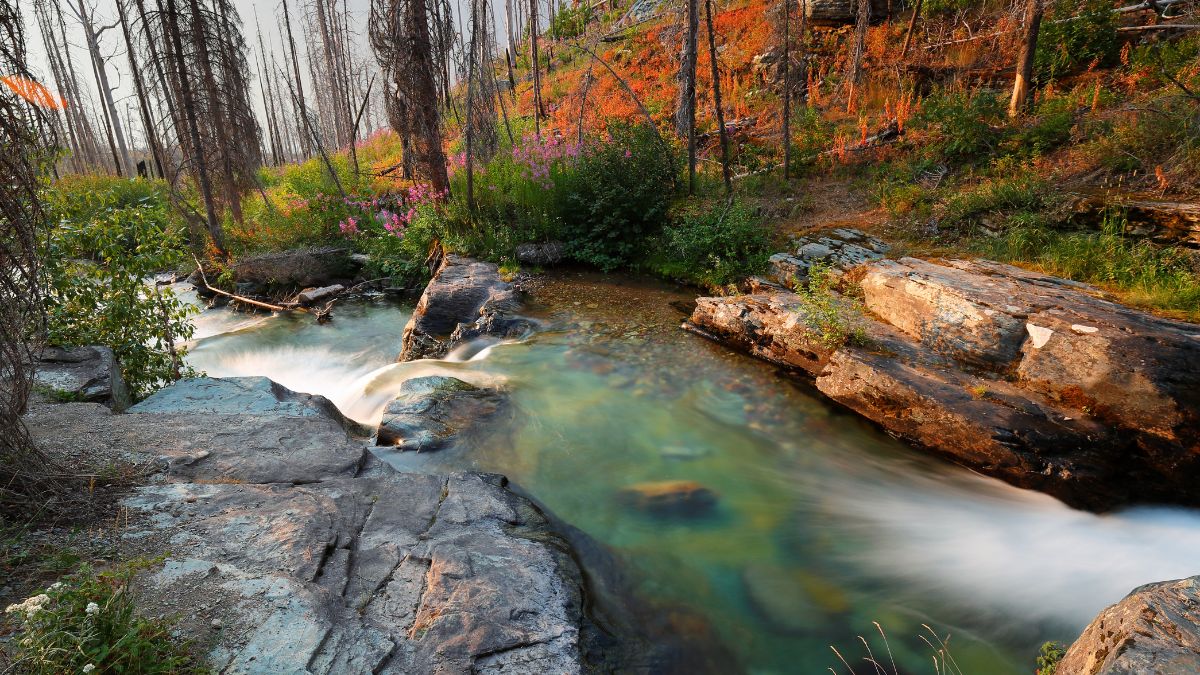 Sunrift Gorge at sunrise in Glacier National Park, Montana USA.