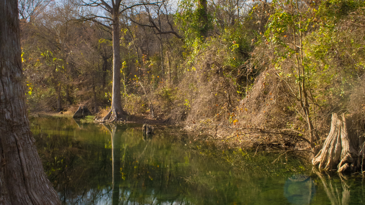 a still stream with trees reflected.