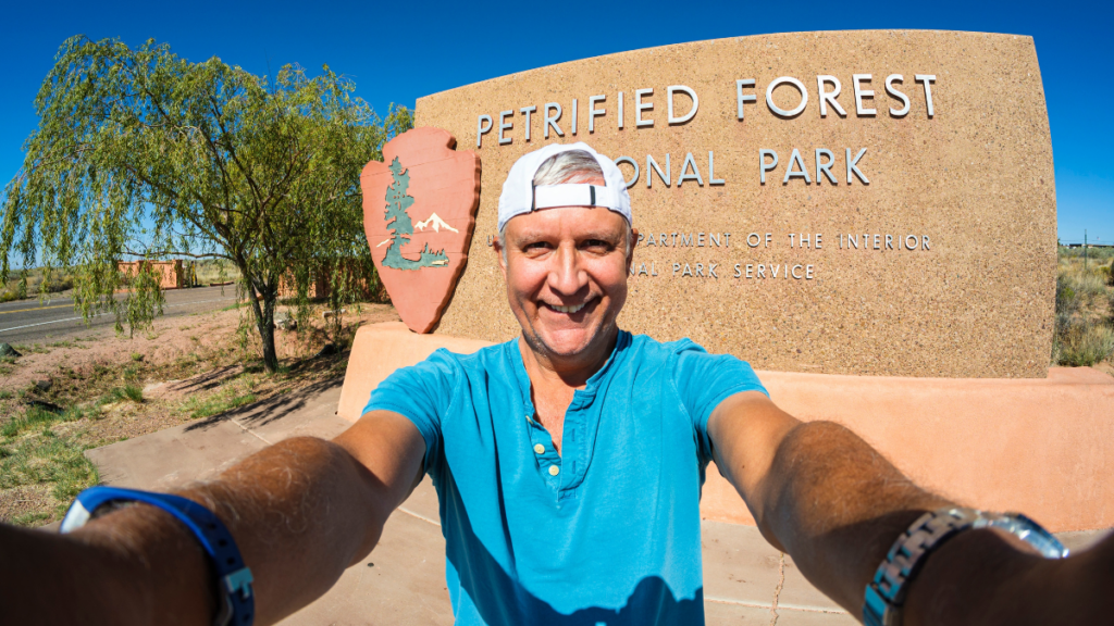 12 Places To See Amazing Specimens of Petrified Wood