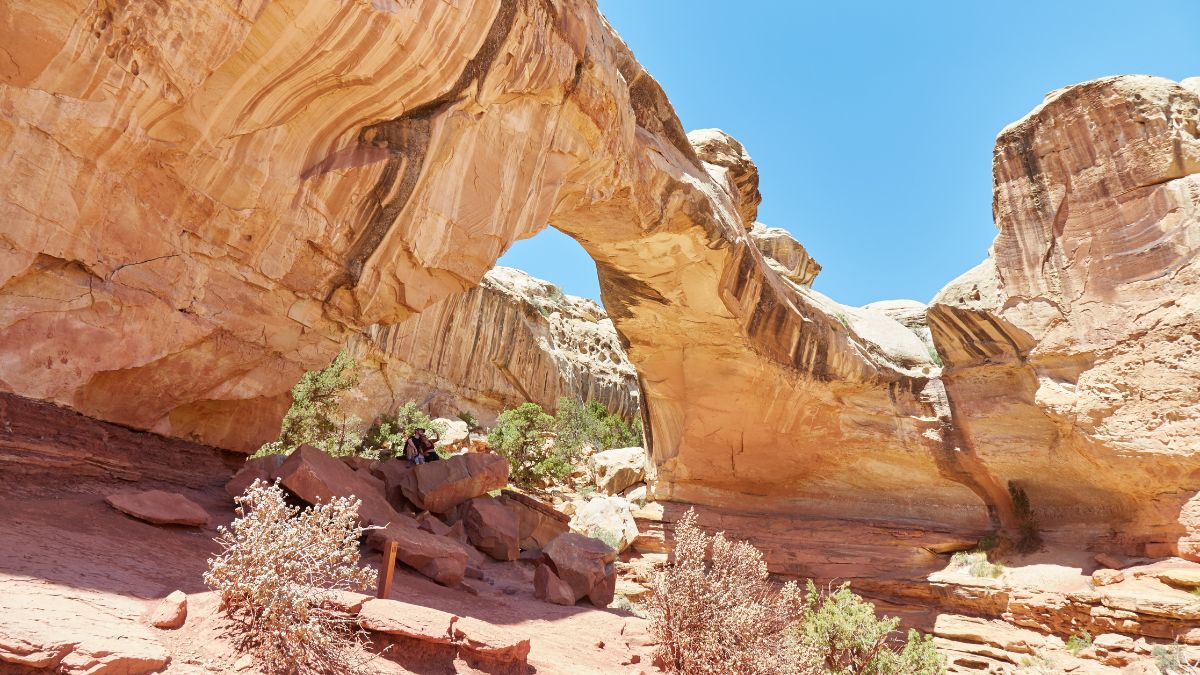 The hike to Hickman Bridge and Navajo Knobs is arguably Capitol Reef National Park's most thrilling hike.